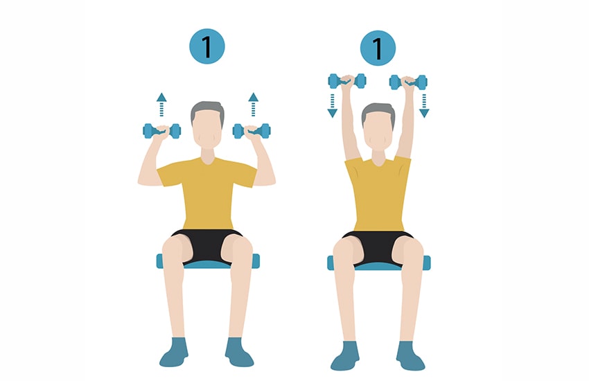 seated dumbbell exercises