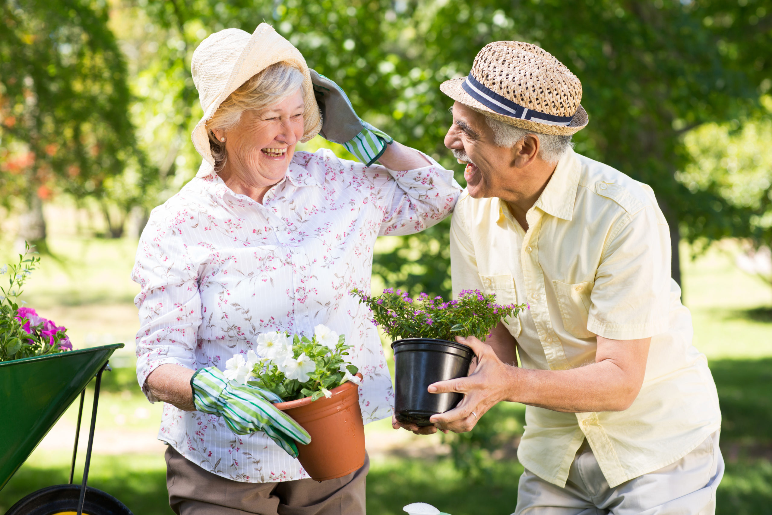 happy senior couple gardening