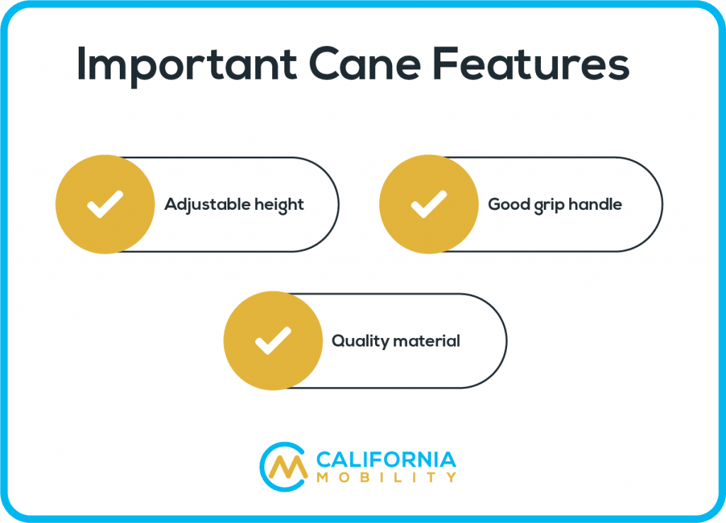 Important Cane Features