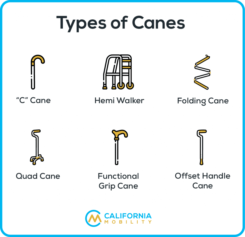 Types Of Canes