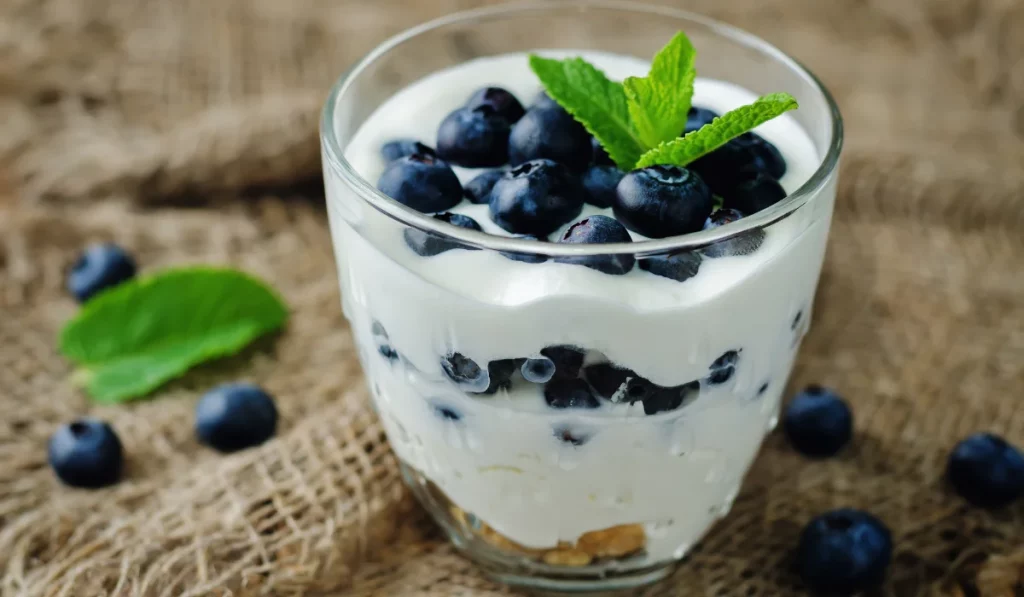 Blueberry and Greek Yogurt Parfait