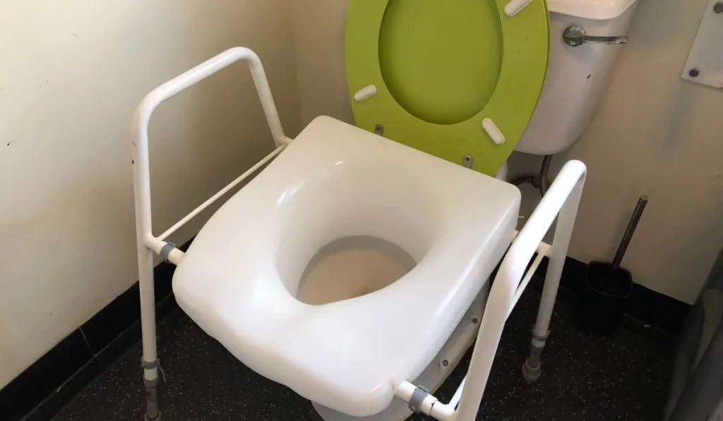 raised toilet seat